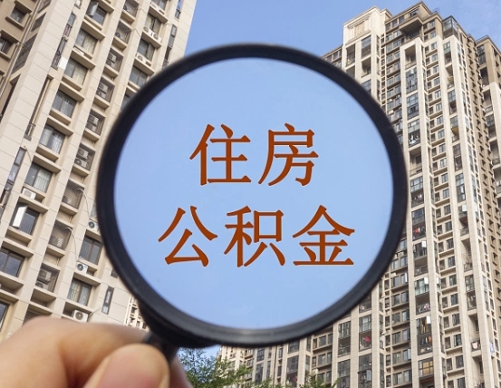 公积金利率怎么查询-禹城公积金代办平台